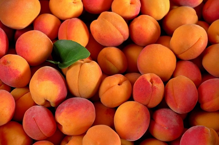 Valori nutritivi, benefici per la salute, usi e aspetti interessanti dell'albicocca